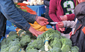 We nurture success. Our programs give people tools, training, and counseling for long-term stability.