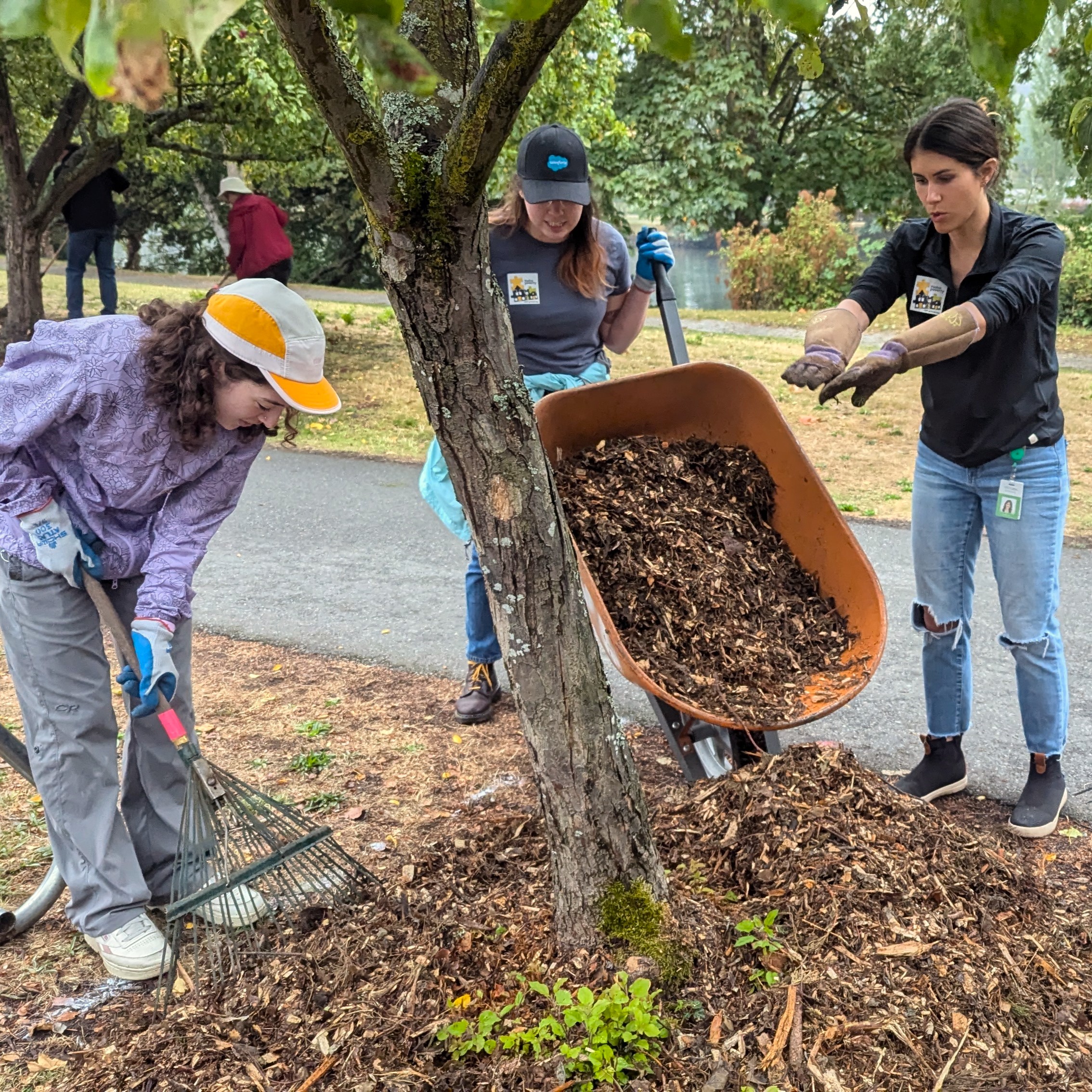 One person dumps a load of mulch from a wheelbarrow while a second person spreads it with a rake and a third person offers instructions