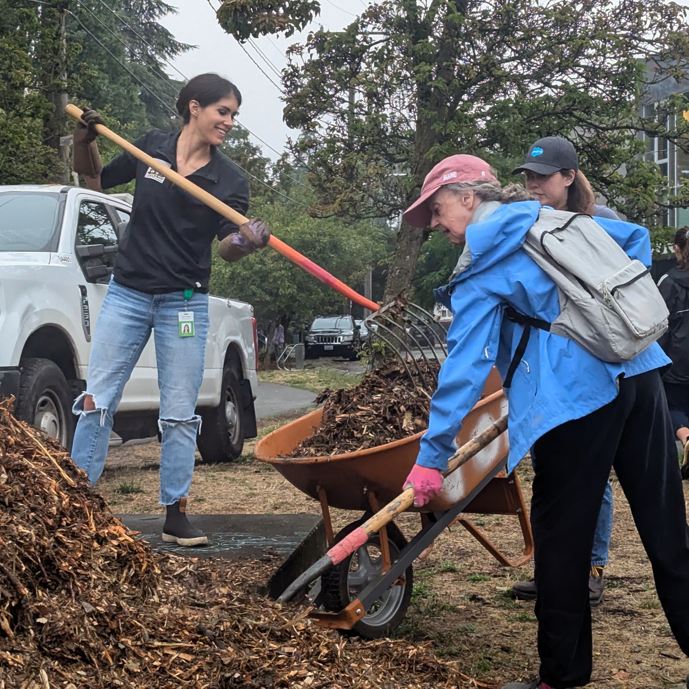 Three people work to shovel mulch from a large pile into a wheelbarrow
