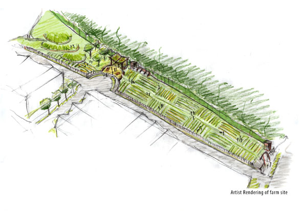 Artist's rendering of new Community Farm at Rainier Vista