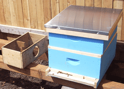 Blue bee hive