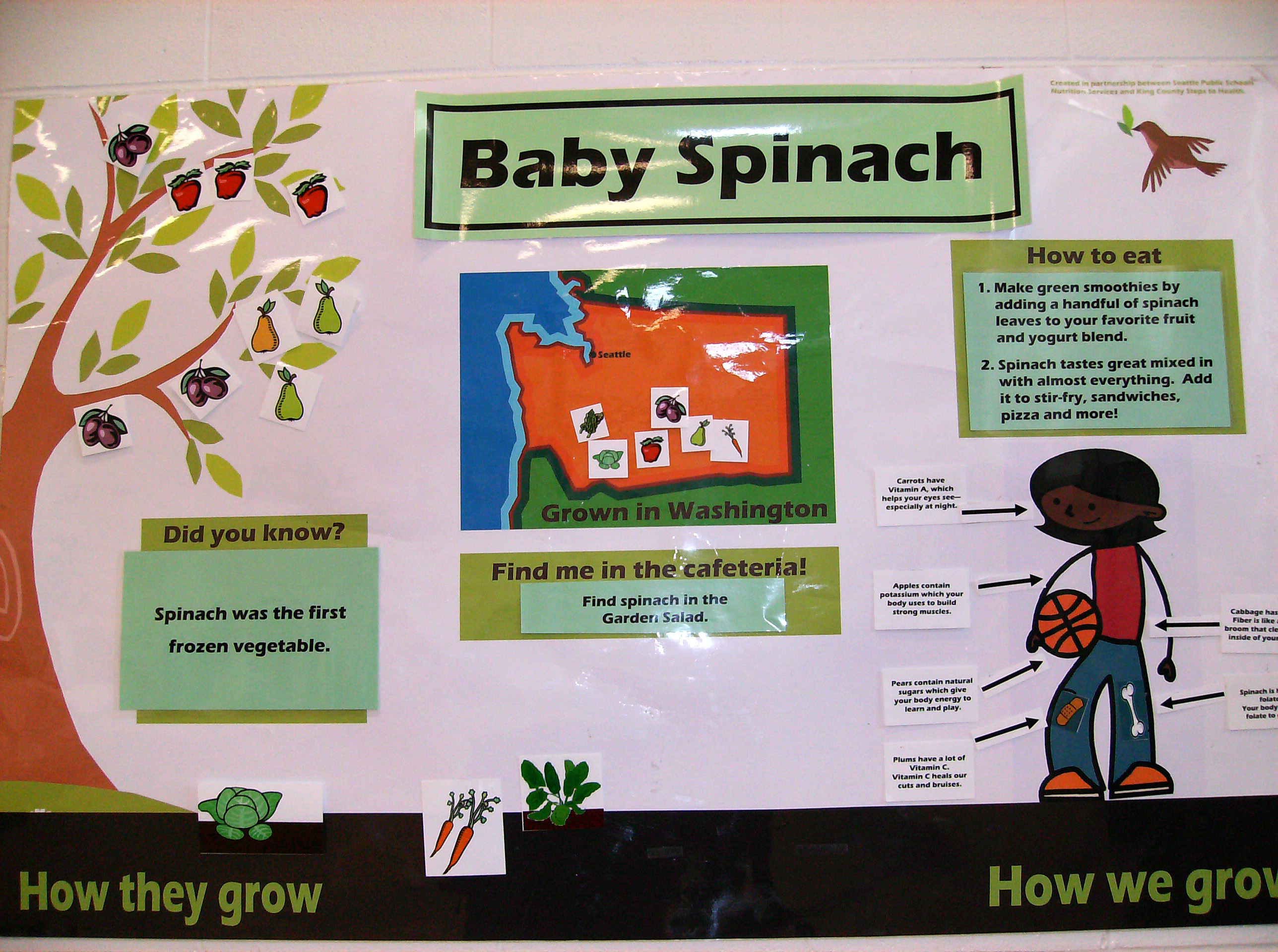 spinach sign 008