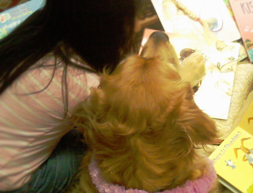 A young girl with long black hair, wearing a pink and white striped shirt, "reads" books with a Golden Retriever pup.