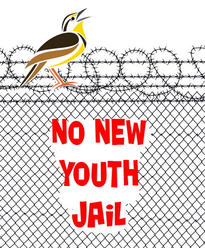 NoNewYouthJail_web