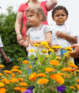 Preschoolers sample edible flowers at Marra Farm. (Photo by Erin Lodi. See her portfolio at www.erinlodiphotography.com.)
