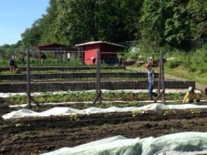 Seattle University sustainable agriculture students at Seattle Community Farm