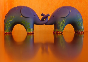 Two elephants, trunks entwined, orange background
