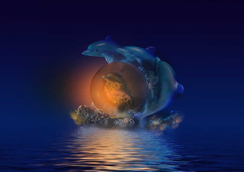 Dolphins & globe on water image