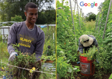 Google employees have a work party at Solid Ground's Giving Garden at Marra Farm