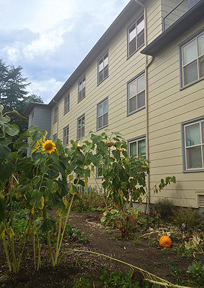 Picture of sunflowers by Santos Place residence