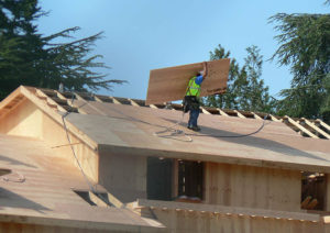 A construction worker stands on the roof of a building carrying a large piece of plywood over his head