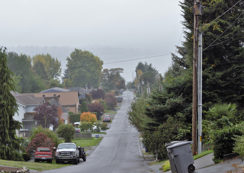 A foggy residential street in King County with the water just visible in the distance.