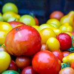 A close up shot of red and yellow tomatoes of various sizes