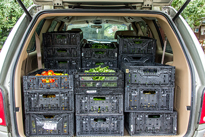 Black plastic crates full of vegetables fill the back of a van.