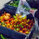 A close up of someone filling a clear plastic bag with red and yellow tomatoes from a crate.