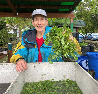 A woman in a yellow and teal rain jacket and baseball hat shakes a bundle cilantro over a wash basin filled with more cilantro.