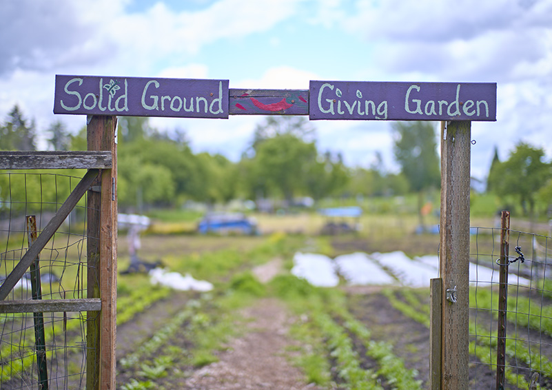 A wooden sign above a fenced gate reads "Solid Ground Giving Garden" in white letters over purple paint. Rows of crops can be seen out of focus in a field beyond the fence.