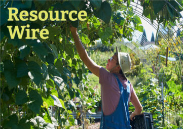 A person in a straw hat and overalls reaches up to pick beans from vines hanging from a trellis. The words "Resource Wire" appears above her.
