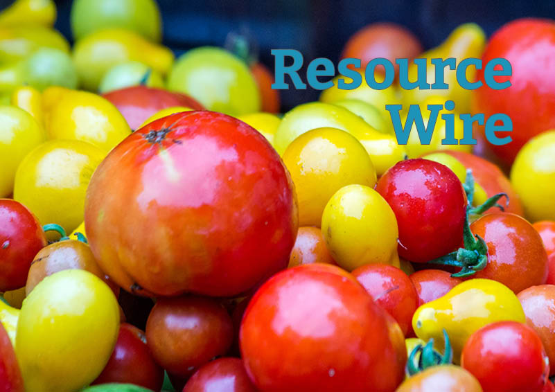 A close up of tomatoes of various colors and sizes, with the words "Resource Wire" above them.
