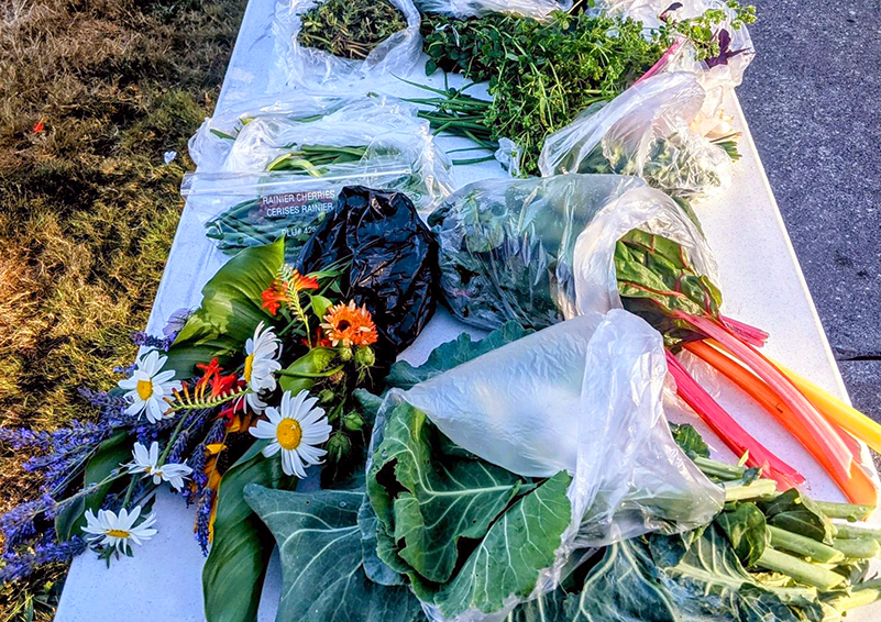 A bounty of flowers along with rainbow chard, kale, and herbs laid out on a table.
