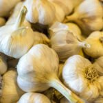 Heads of garlic
