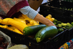 A closeup shot of someone's hand reaching into a bin overflowing with yellow and green summer squash.
