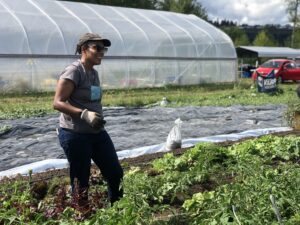 A woman in a brown baseball cap stands in a field in front of a large green house.