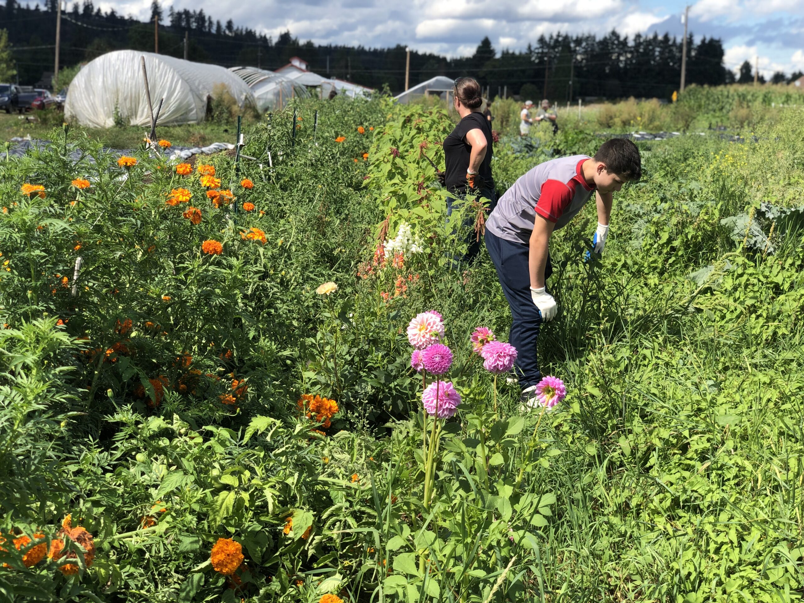 Cultivating community farming in Seattle and beyond - Solid Ground