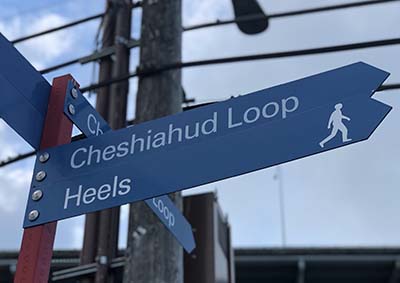 A blue street sign that reads "Cheshiahud Loop"