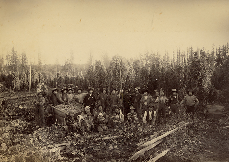 Sepia-toned historical photograph showing a large group of Native American farmers posing together after a hop harvest,