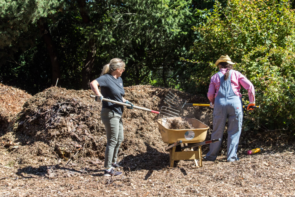 A group of volunteers shovel mulch from a giant pile into wheelbarrows to cart away.