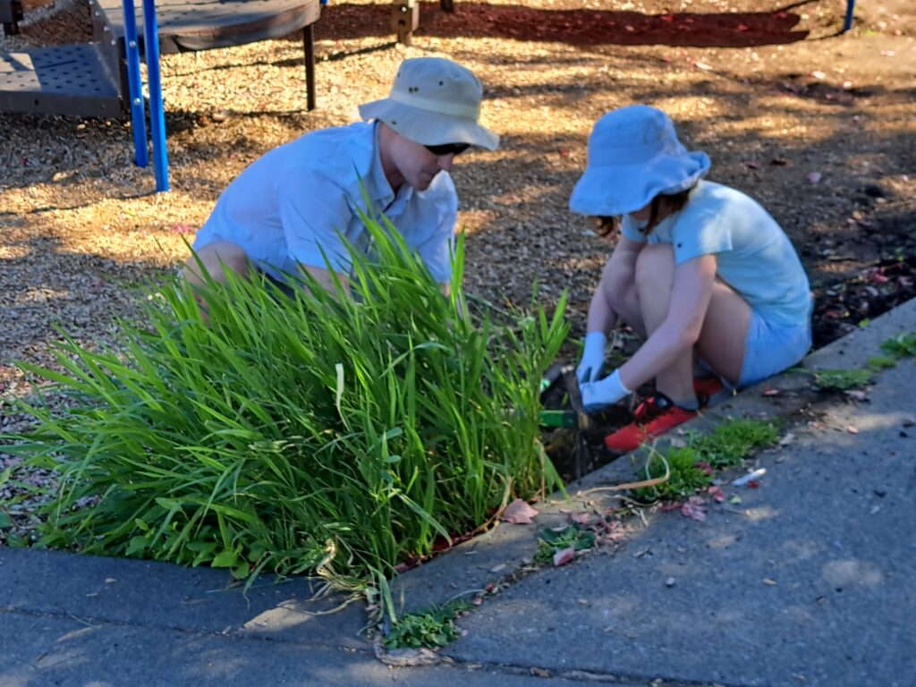Two volunteers spread mulch around a playground.