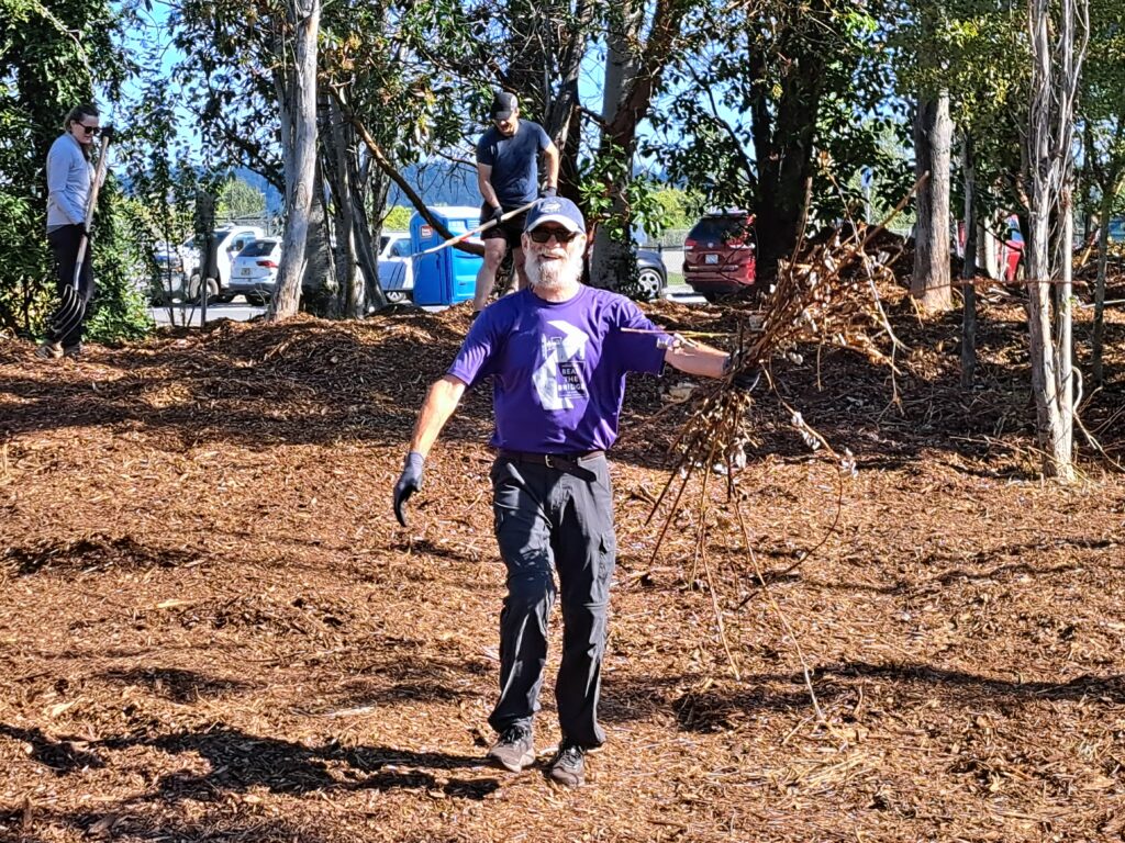 A man in a purple shirt carries a bundle of plant debris to compost.
