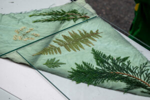 Leaves and branches laid out over a green cloth