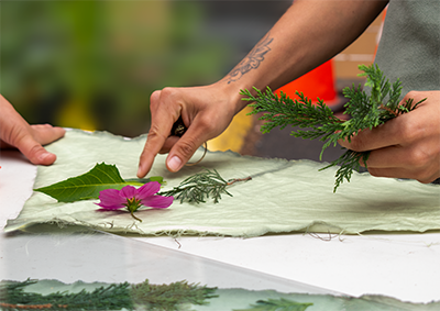 Flowers and leaves of various shapes are placed on a piece of cloth.