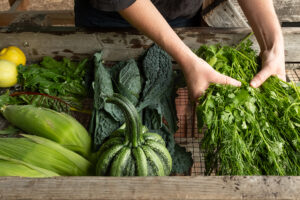 A close up of fresly harvested greens, herbs, squash, and other vegetables waiting to be rinshed.