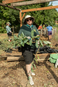 A volunteering holding up a bunch of freshly harvested greens.