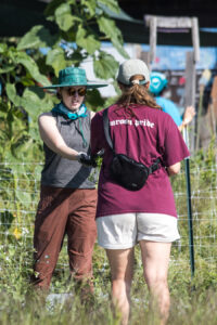 A bunch of volunteers working to pull weeks from vegetable beds.