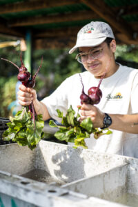 Washing beets