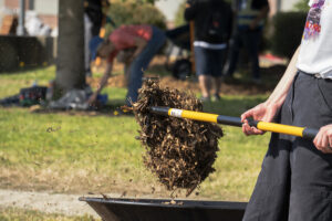 A close up a shovel of mulch being emptied into a wheelbarrow