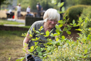 A woman with white hair and gloves stoops behind a bush.