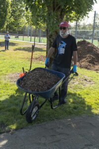 A man with a wheelbarrow full of mulch under the shade of a tree.