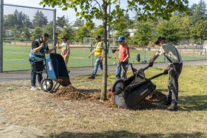 A group of people spreading mulch with wheelbarrows and shovels