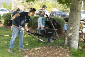People whith shovels and wheelbarrows spreading mulch.